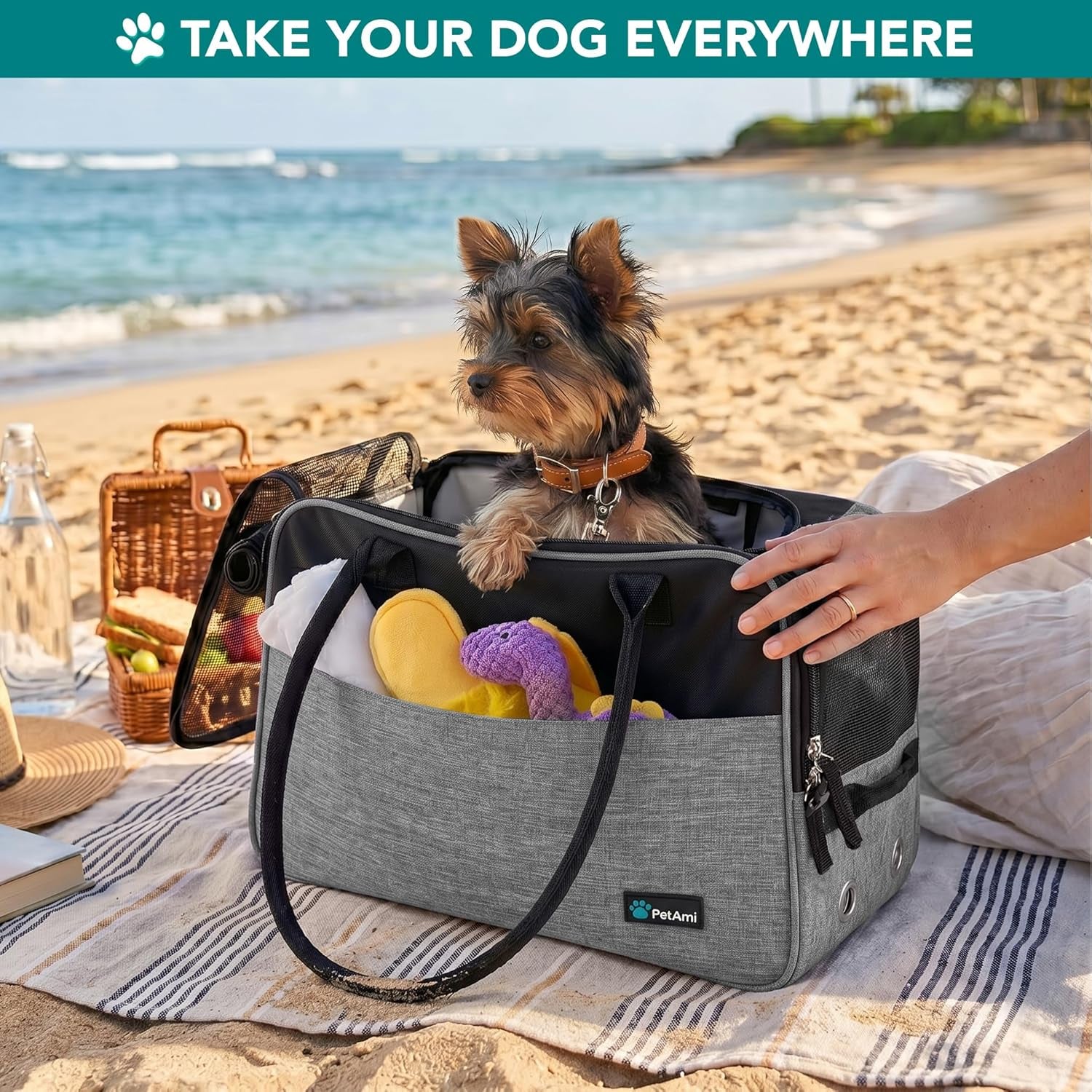 Airline Approved Dog Purse Carrier | Soft-Sided Pet Carrier for Small Dog, Cat, Puppy, Kitten | Portable Stylish Pet Travel Handbag | Ventilated Breathable Mesh, Sherpa Bed